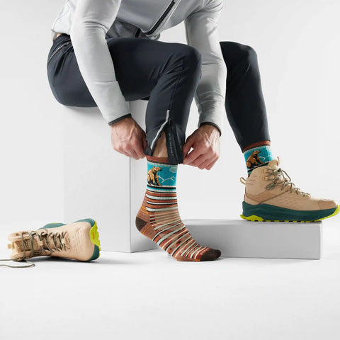 Hike Bear Stripe Mid Crew Socks